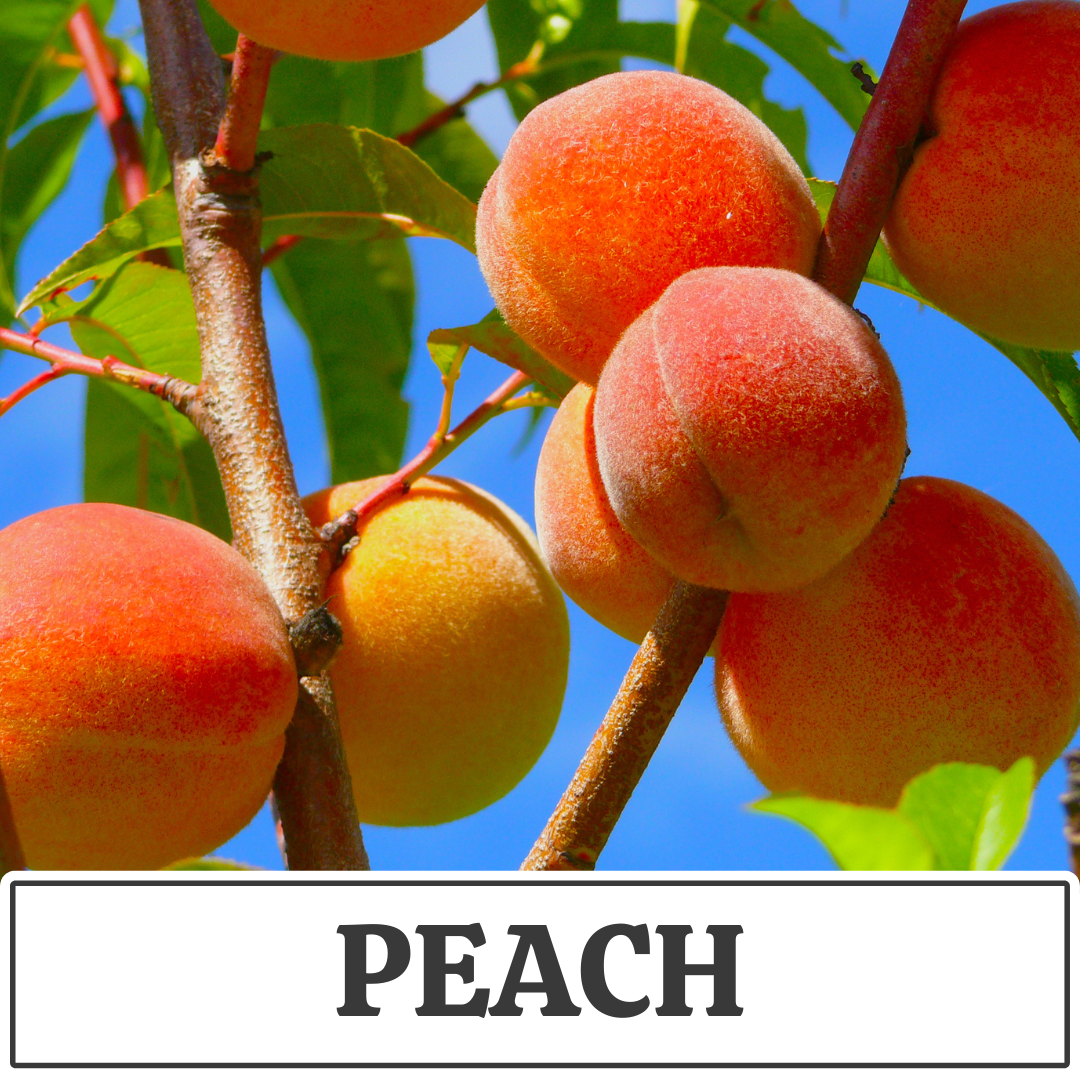peach.png