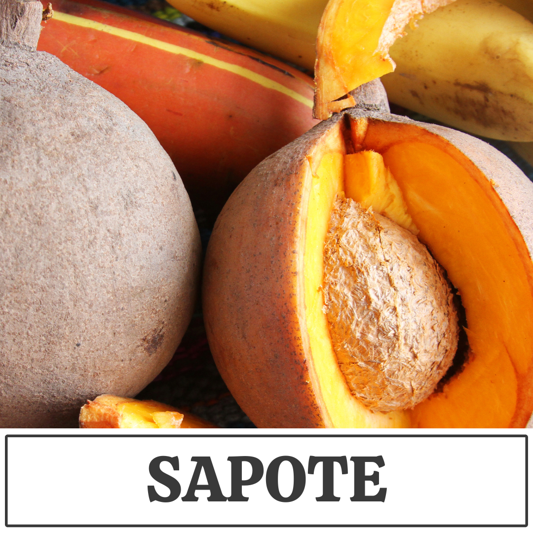 sapote.png