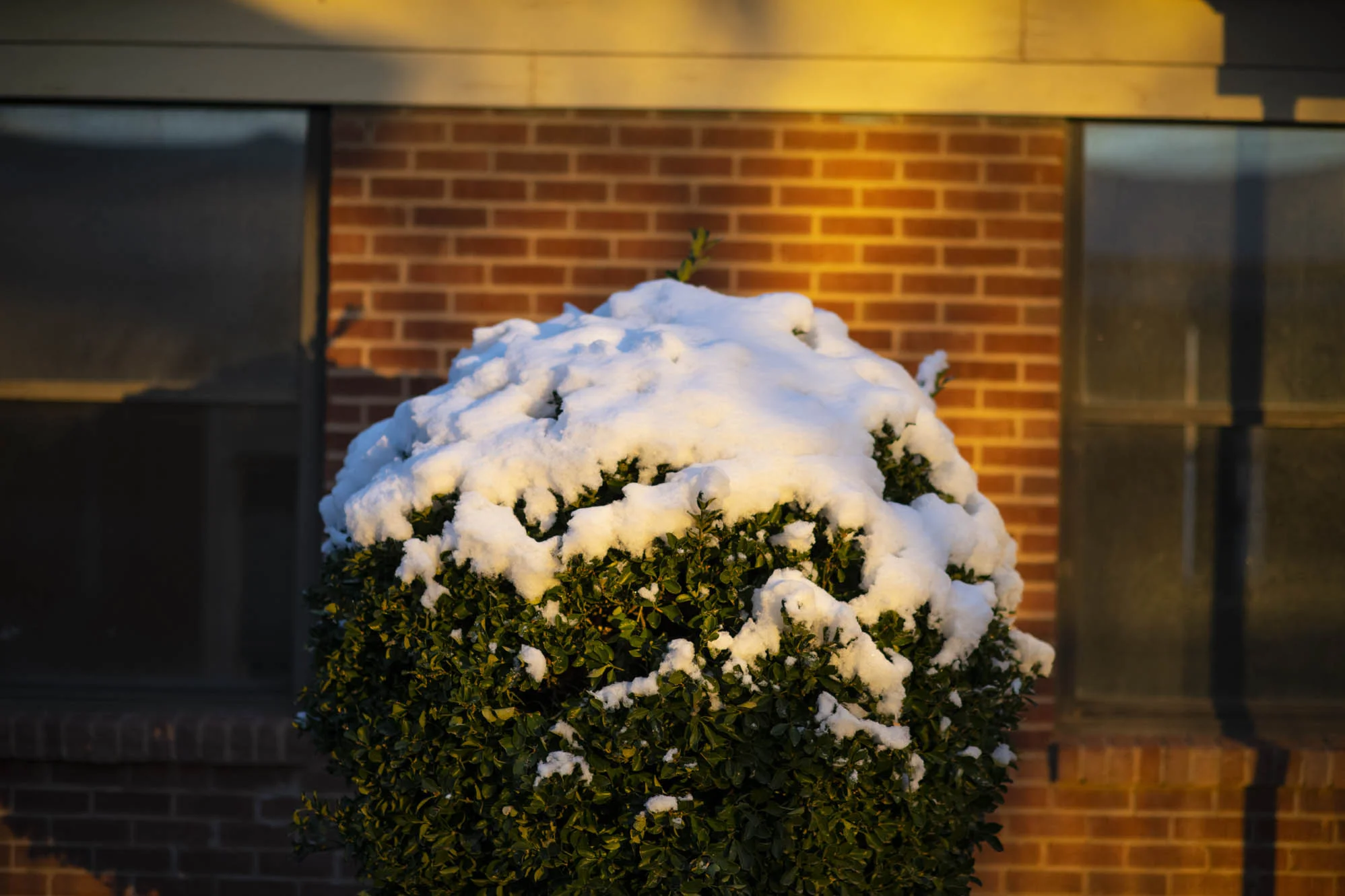 DSC_0579.jpg