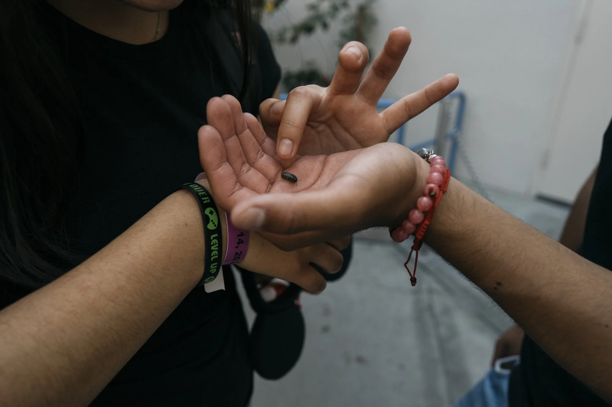  Adila and Javir look at a bug in his hand as they wait in line at Disneyland in honor of Grad Night in Anaheim, California. 