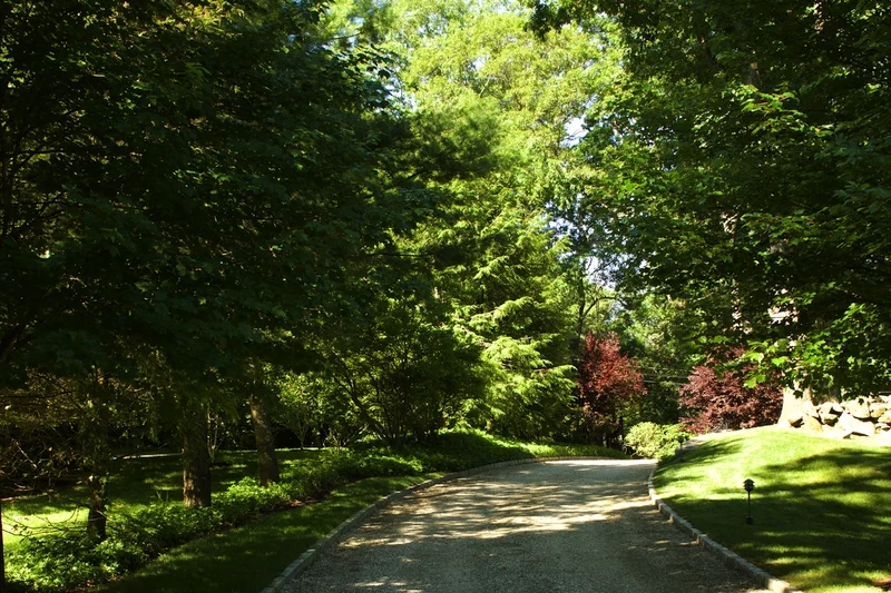 "We think we benefited by using the integrated services of design and construction/landscaping. It has been efficient and cost-effective. If problems arise, we are not caught in the middle of "finger pointing". The Contes assume complete responsibility for the project and make sure that everything completes to our satisfaction." —F.N.
