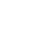 Paintbrush White.png
