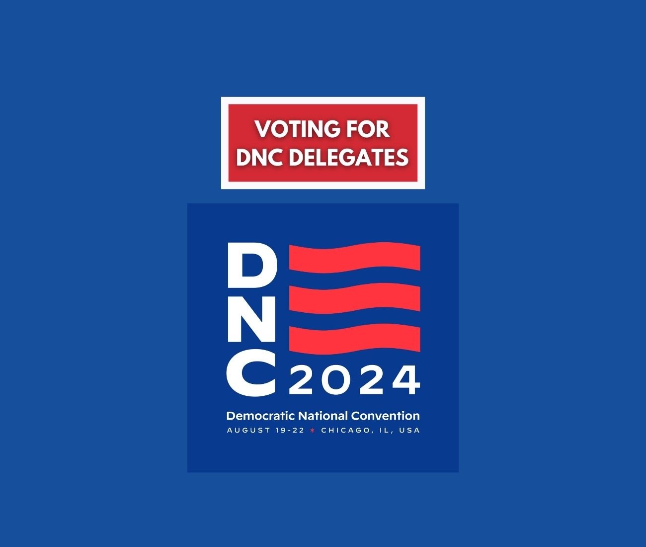 DNC Delegates Voting