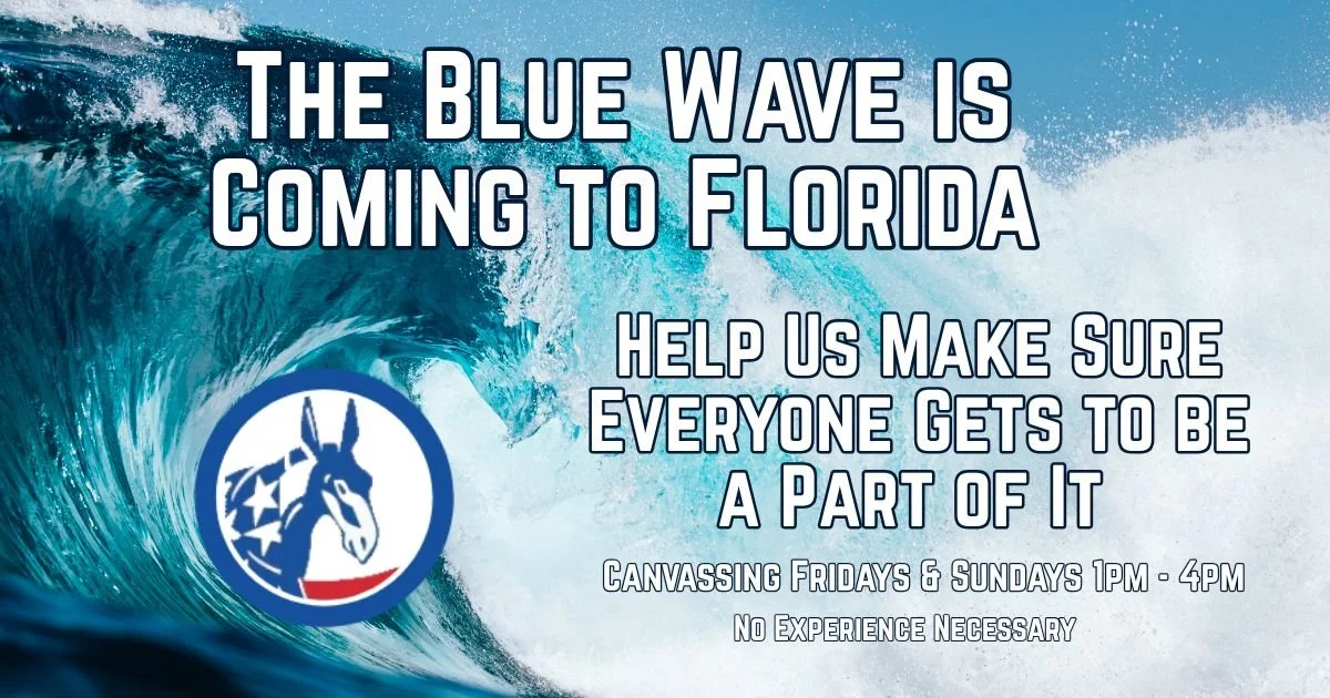 Door-Knocking for the Blue Wave
