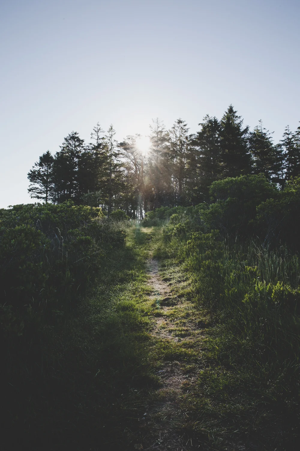 sofiaaldiniophotography_Momentexchange_Richmondisland-13.jpg