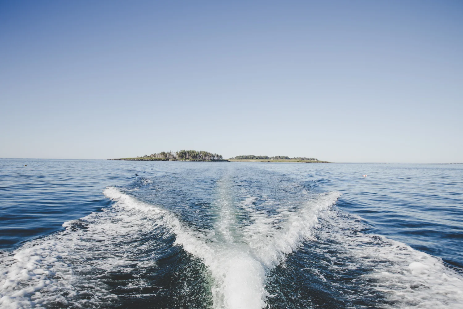 sofiaaldiniophotography_Momentexchange_Richmondisland-15.jpg
