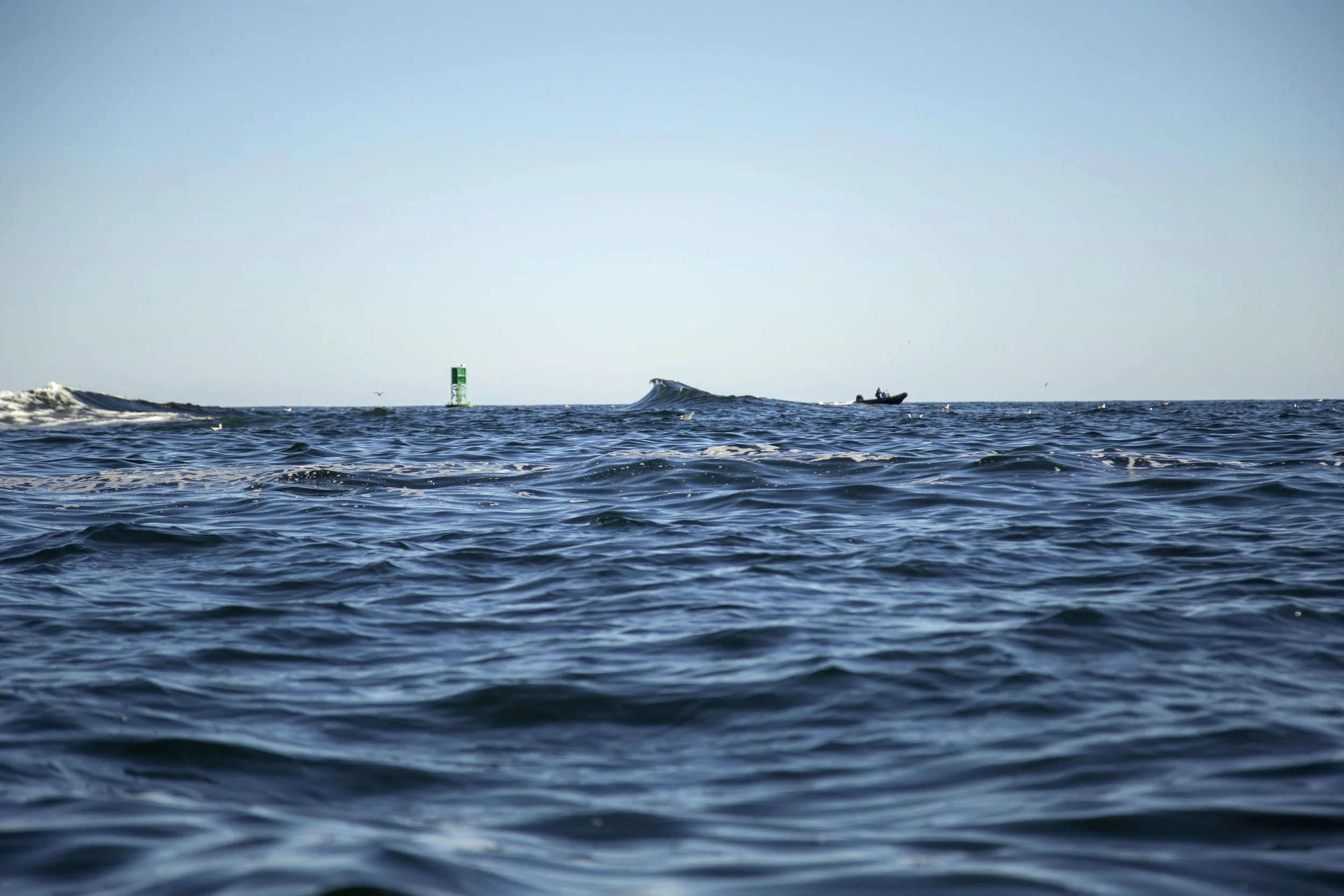 36 hours in Acadia National Park