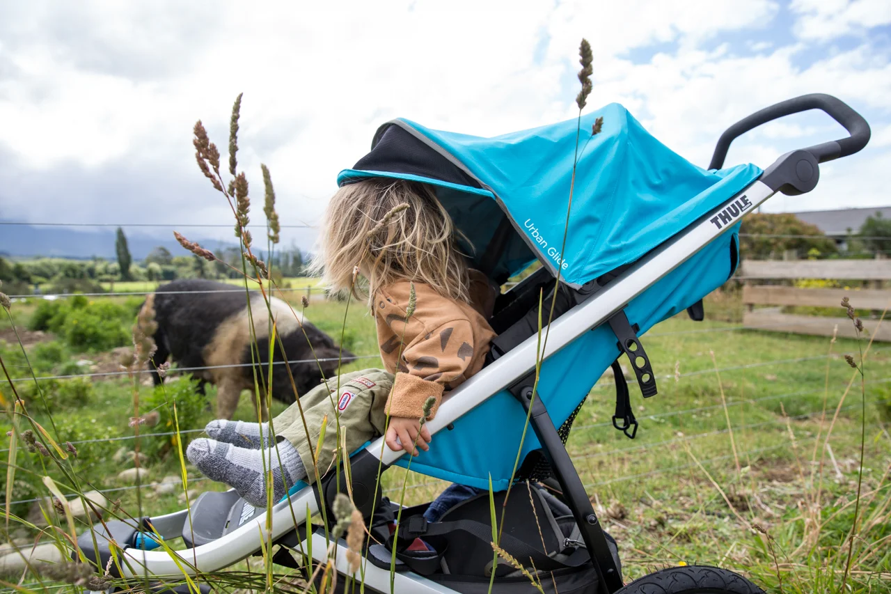 Thule-9641.jpg