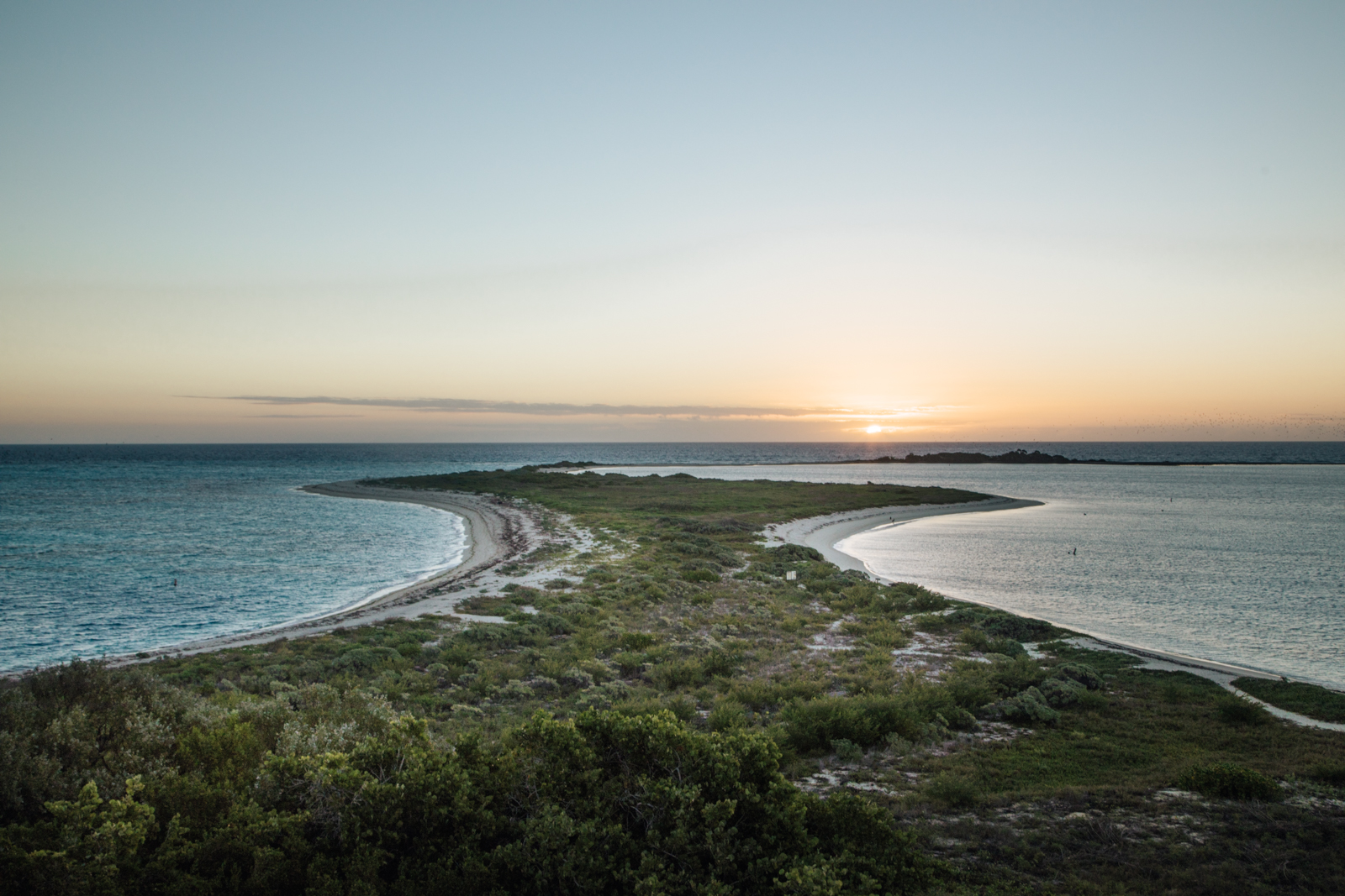 2.8.19_Dry Tortugas_Sofiaaldinio-66.JPG