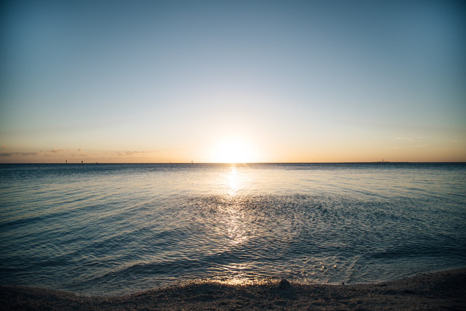 2.7.19_Dry Tortugas_Sofiaaldinio-55.JPG