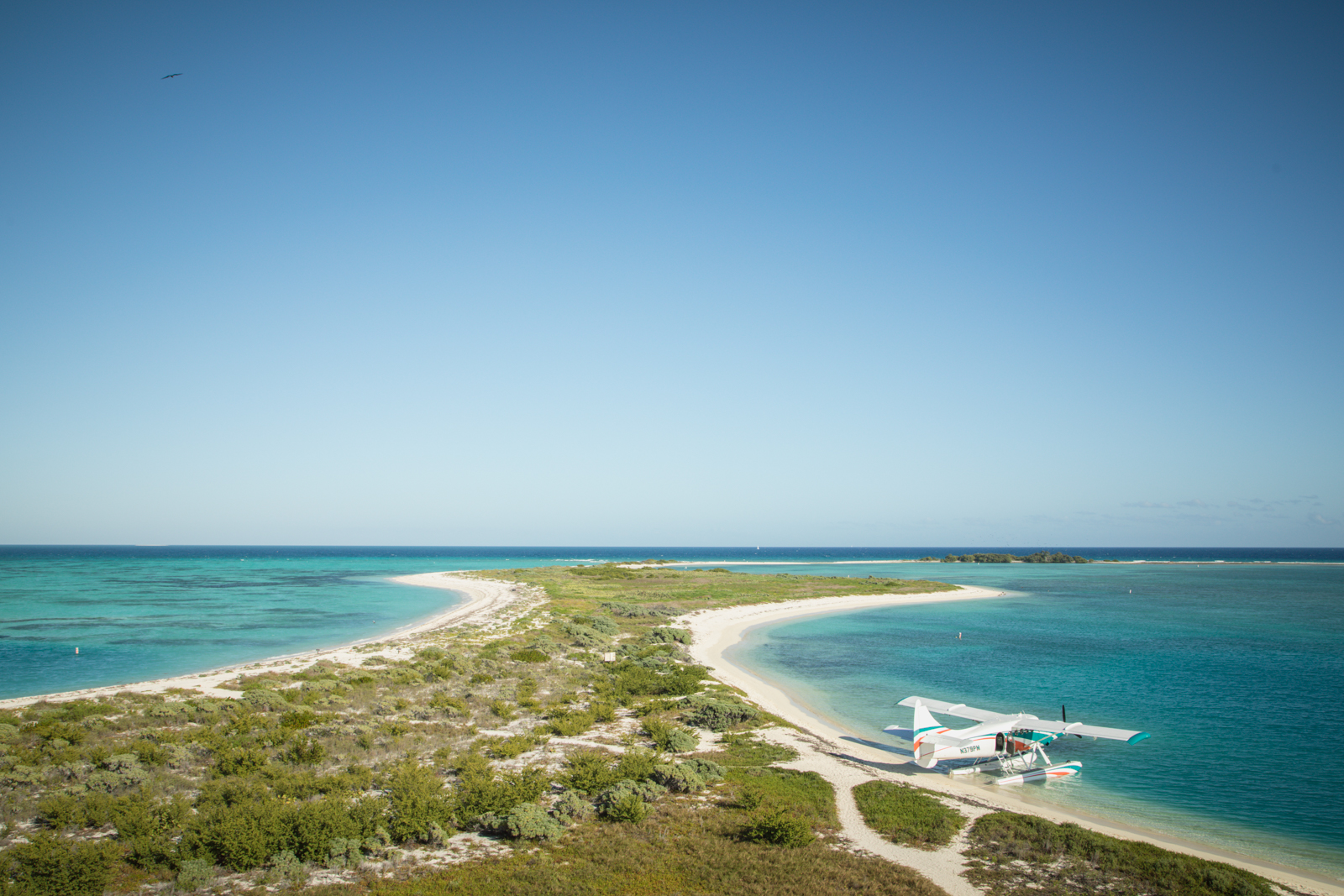 2.7.19_Dry Tortugas_Sofiaaldinio-45.JPG