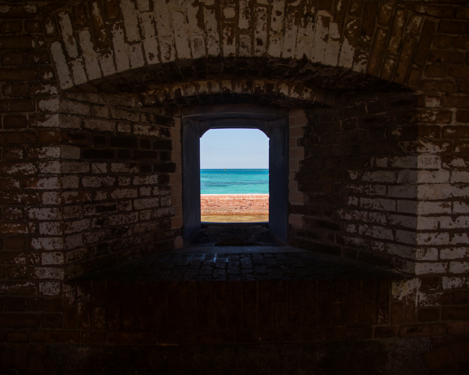 2.7.19_Dry Tortugas_Sofiaaldinio-40.JPG