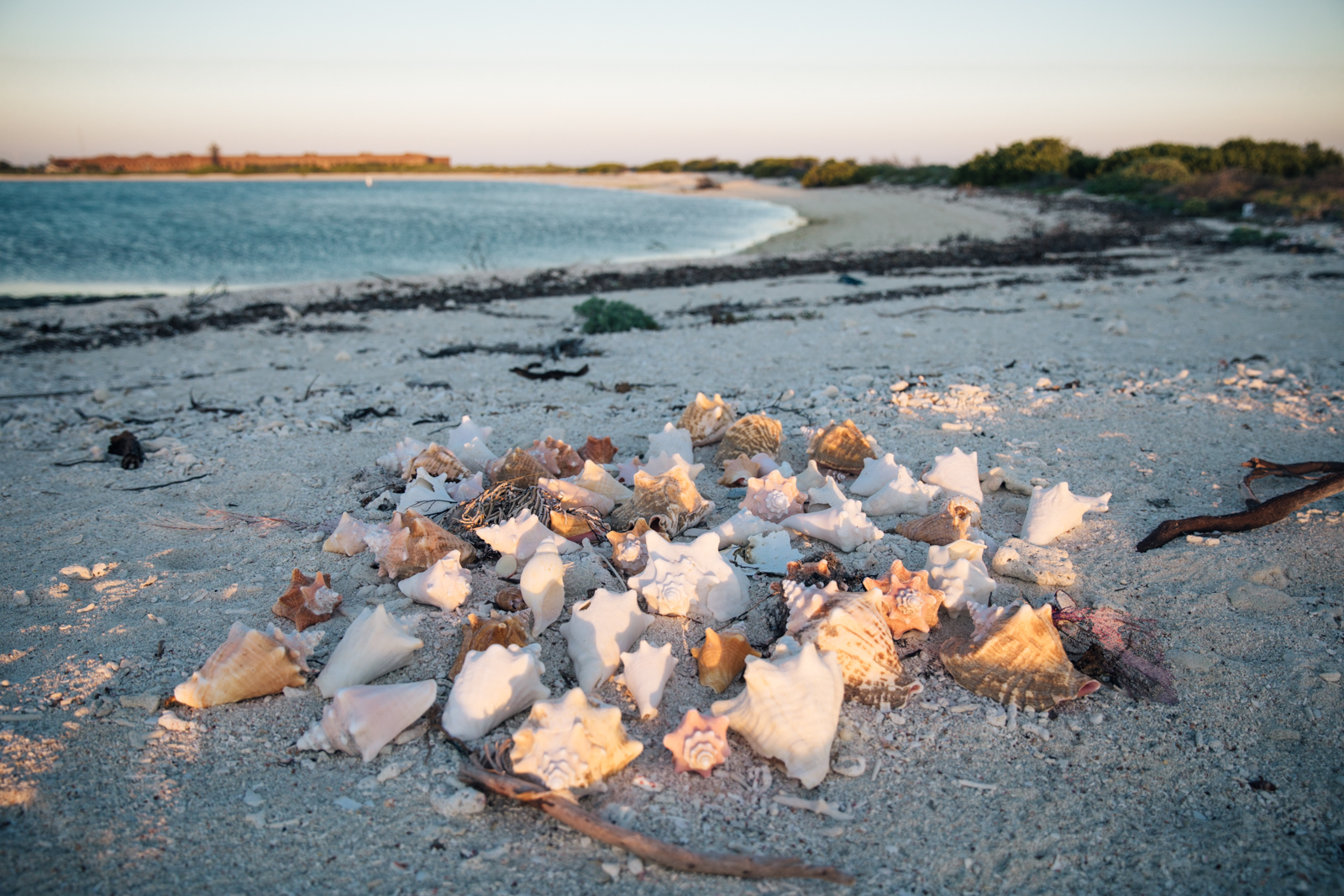 2.7.19_Dry Tortugas_Sofiaaldinio-25.JPG