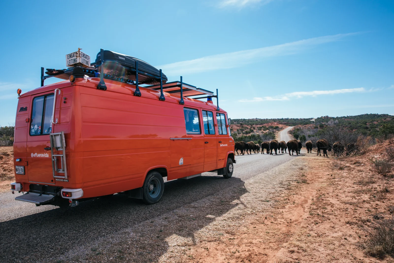The Lone Star Desert 