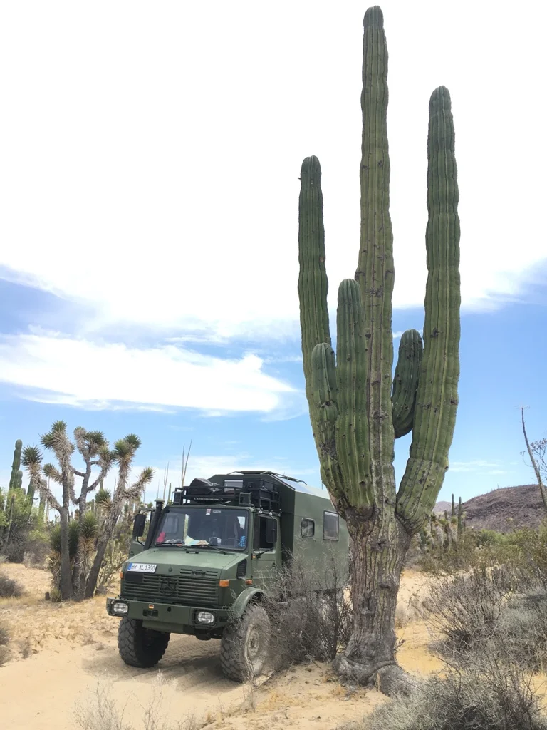 From Hamburg to the Sahara with Jan &amp; Renata Pasel