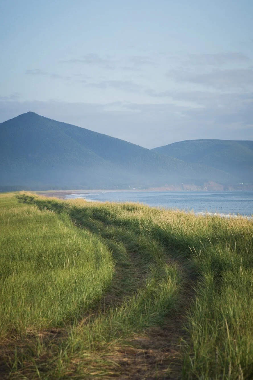 SEASON IV | Families on the Road