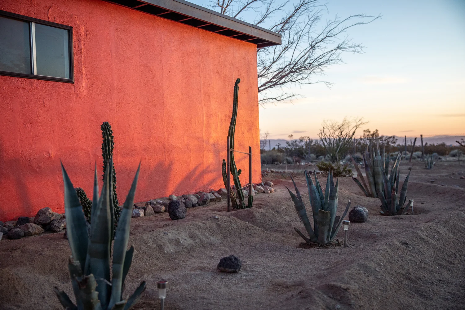 Rewilding Parenthood