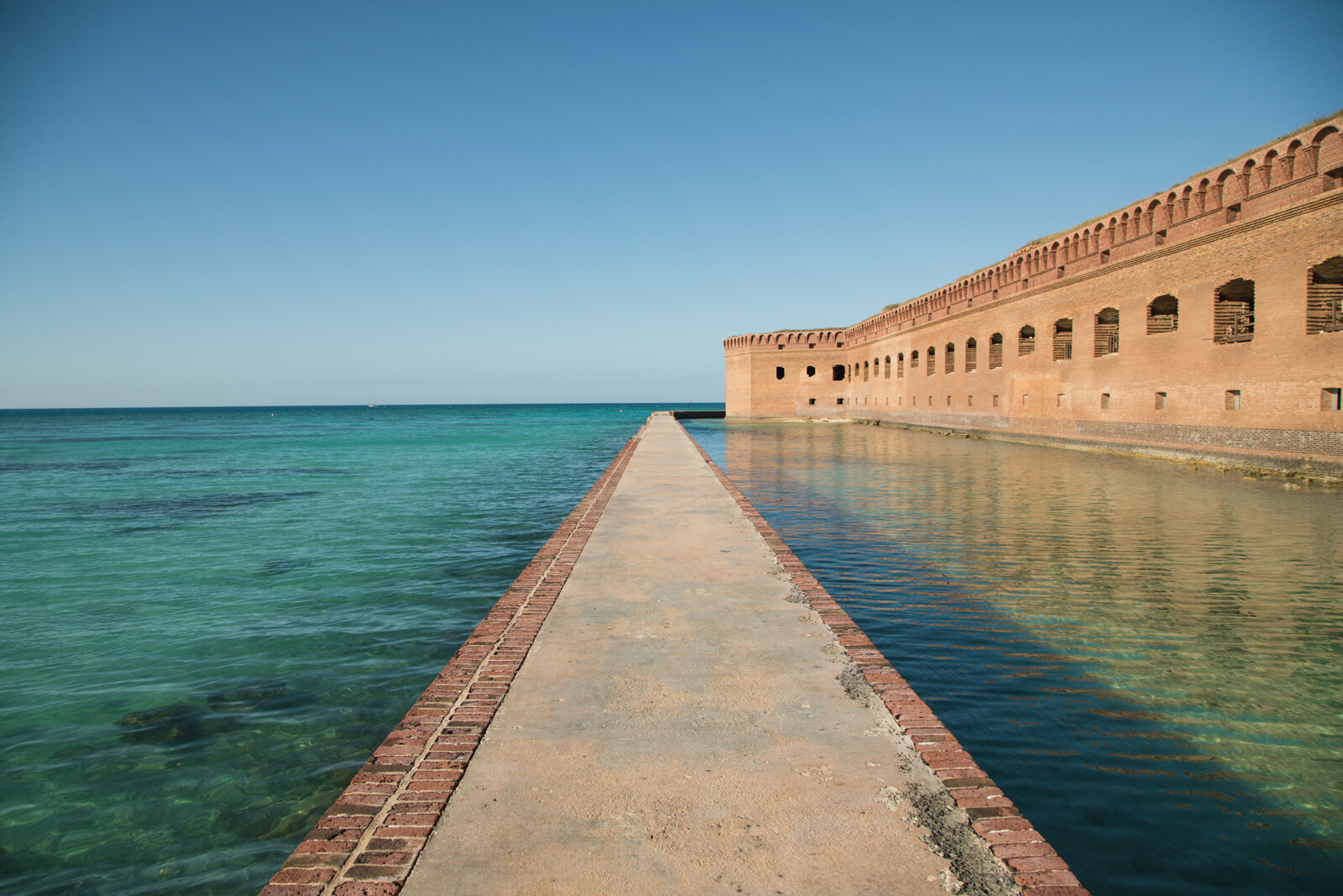 2.7.19_Dry Tortugas_Afuera_Vida-51.JPG