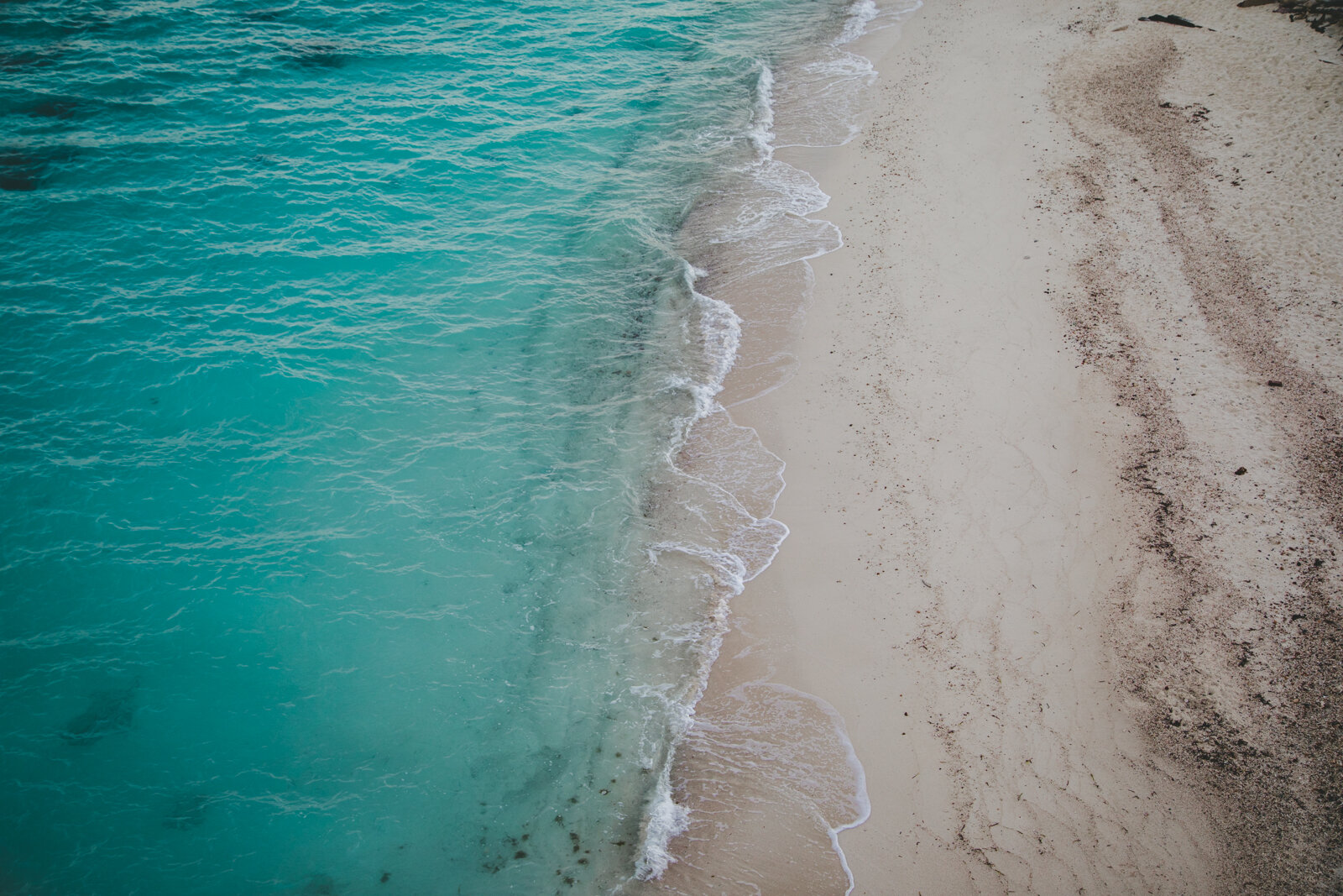 2.8.19_Dry Tortugas_Afuera_Vida-65.JPG