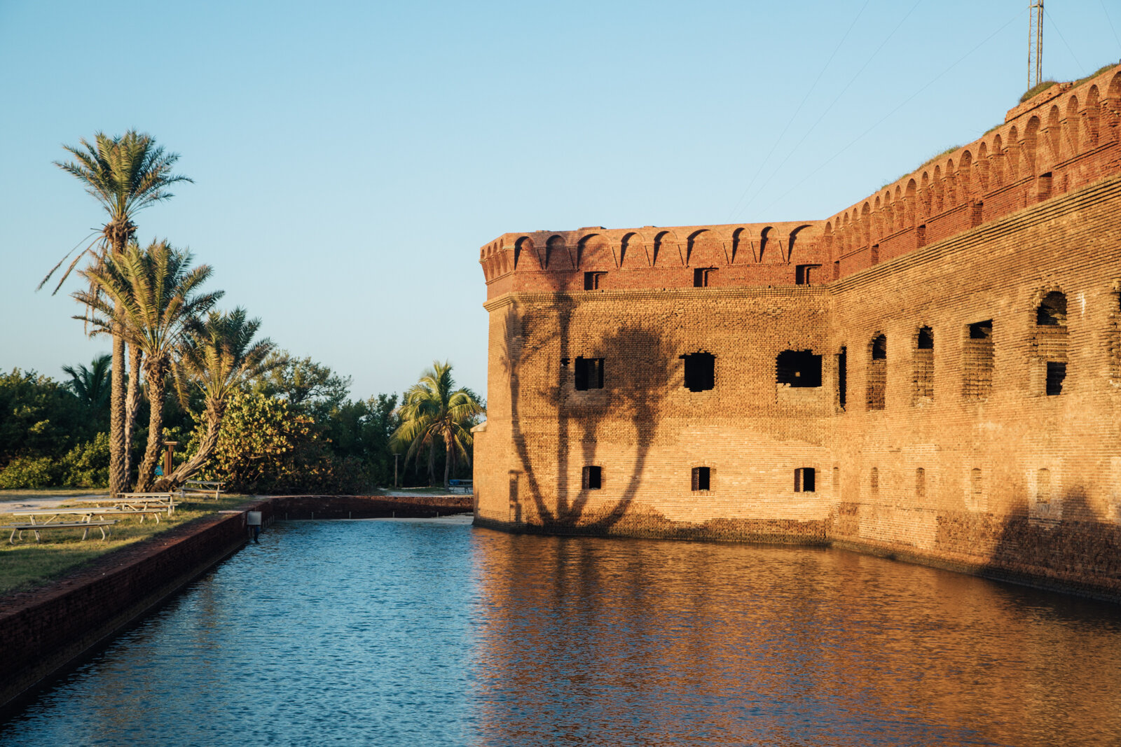 2.8.19_Dry Tortugas_Afuera_Vida-69.JPG