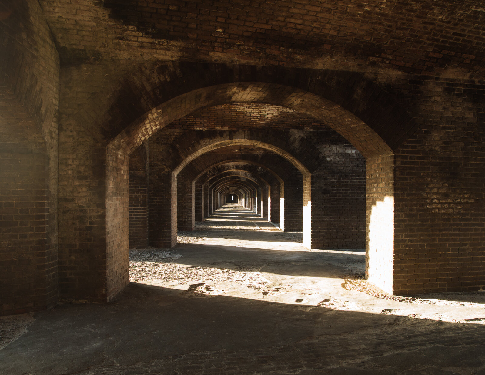 2.8.19_Dry Tortugas_Afuera_Vida-81.JPG