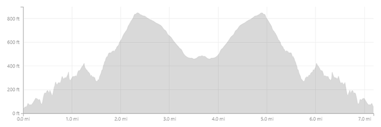 CapeLookout_Short_Elevation.png