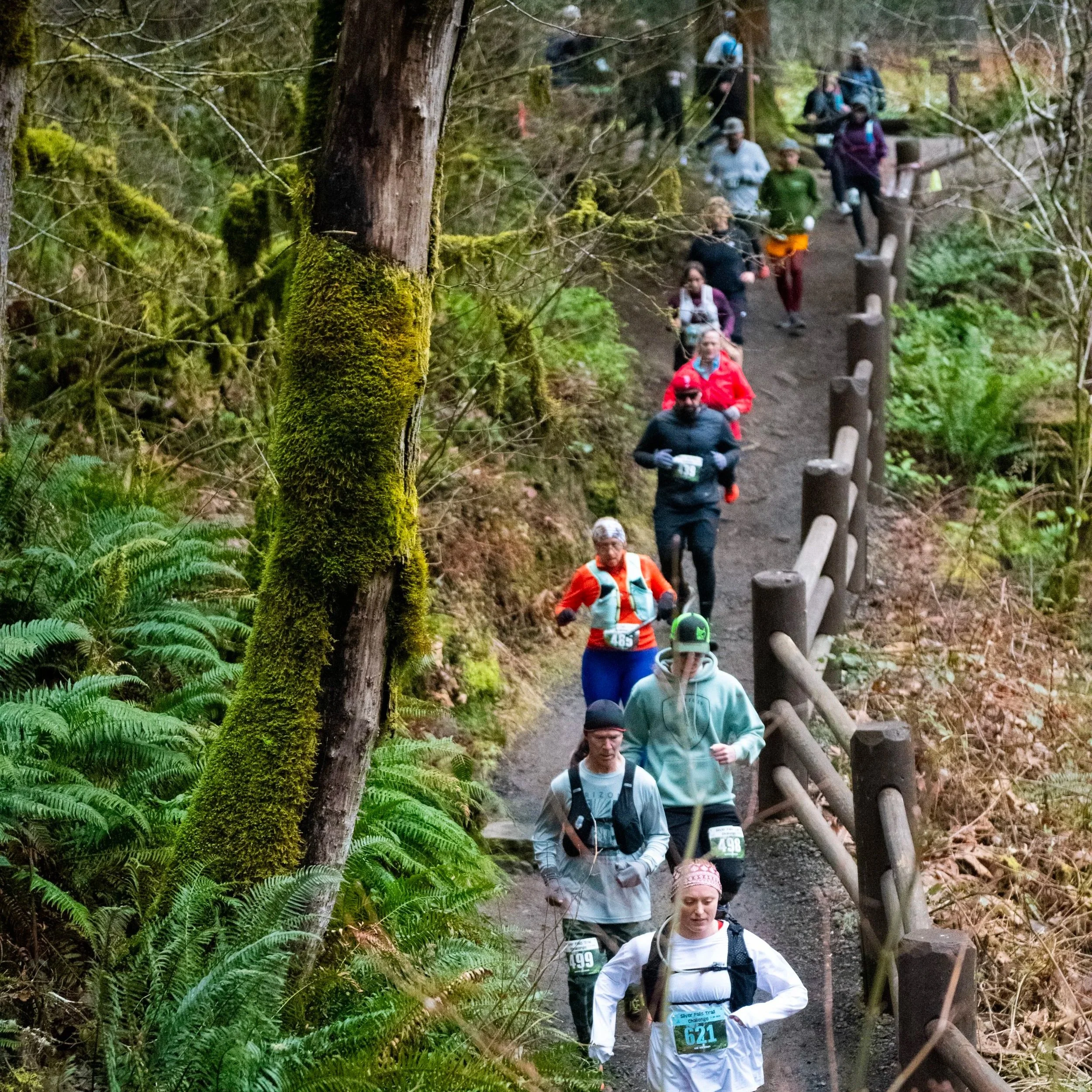 Silver Falls Trail Challenge