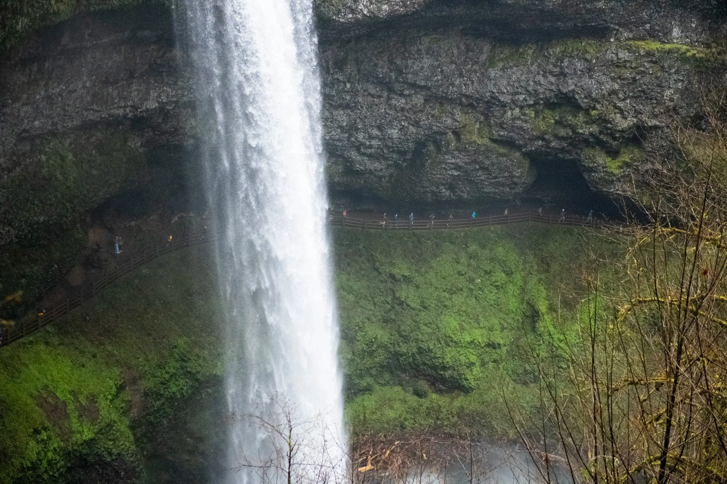 Silver Falls Trail Challenge