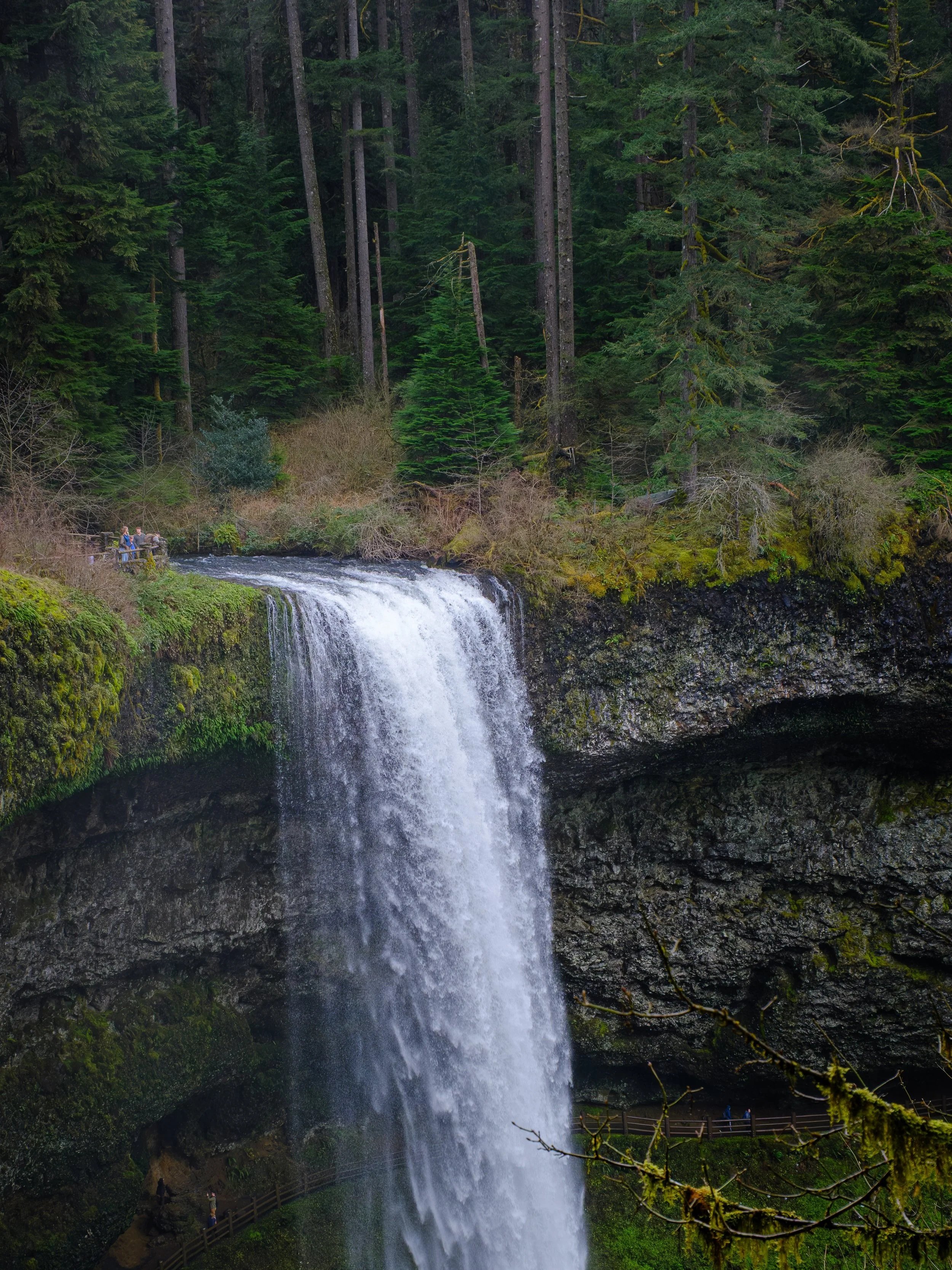 Silver Falls Trail Challenge