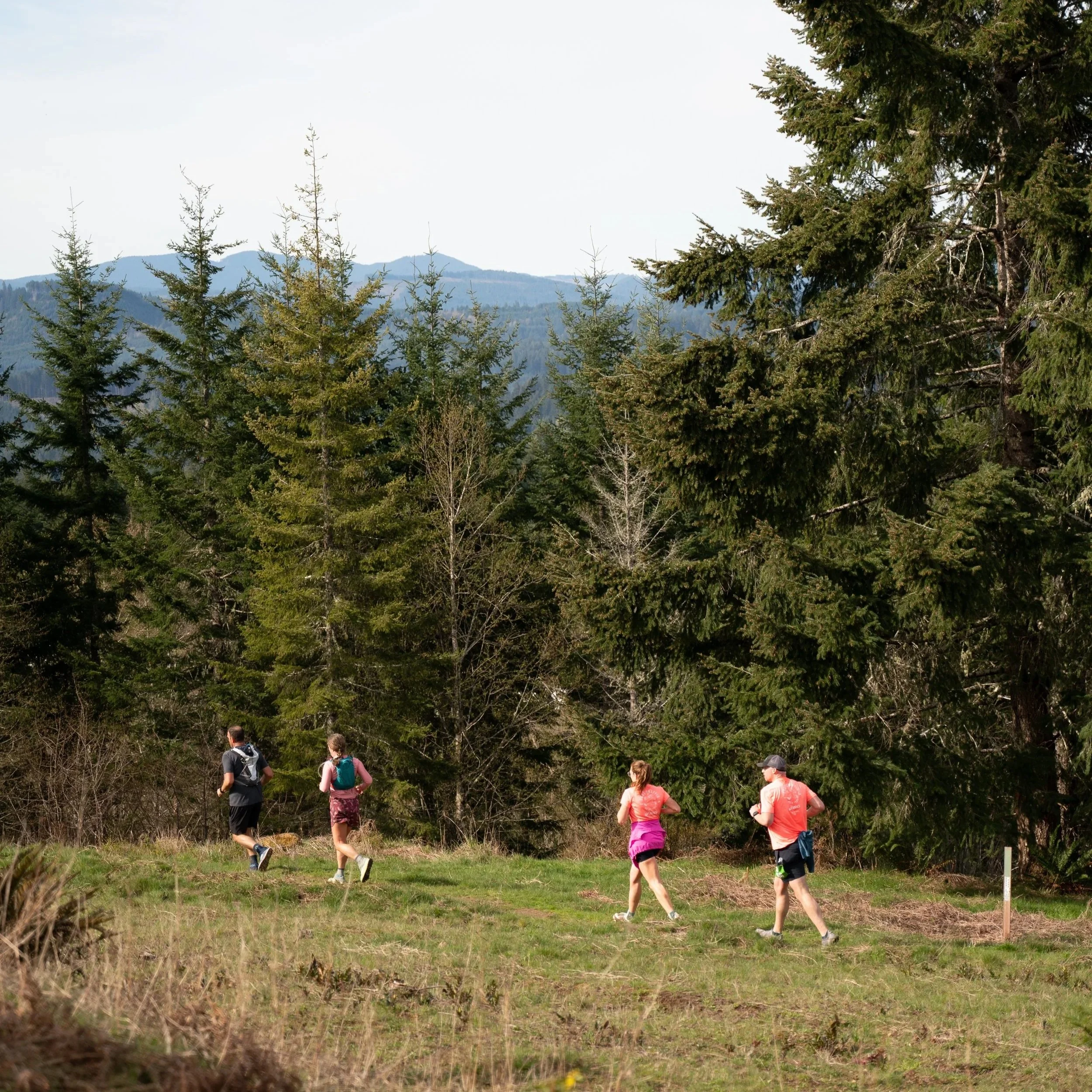 Stub Stewart Trail Challenge