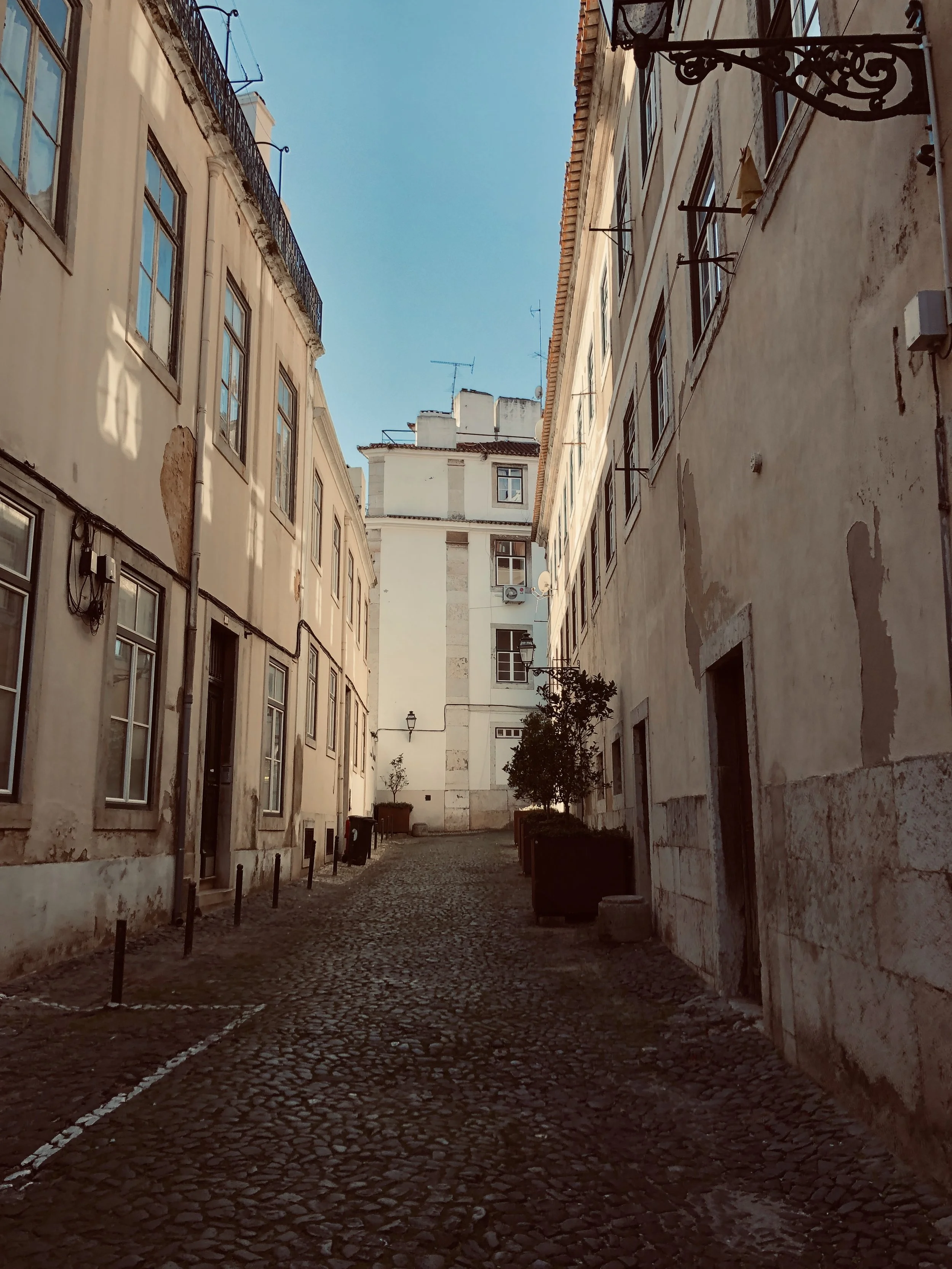 IMG_2737.JPEG