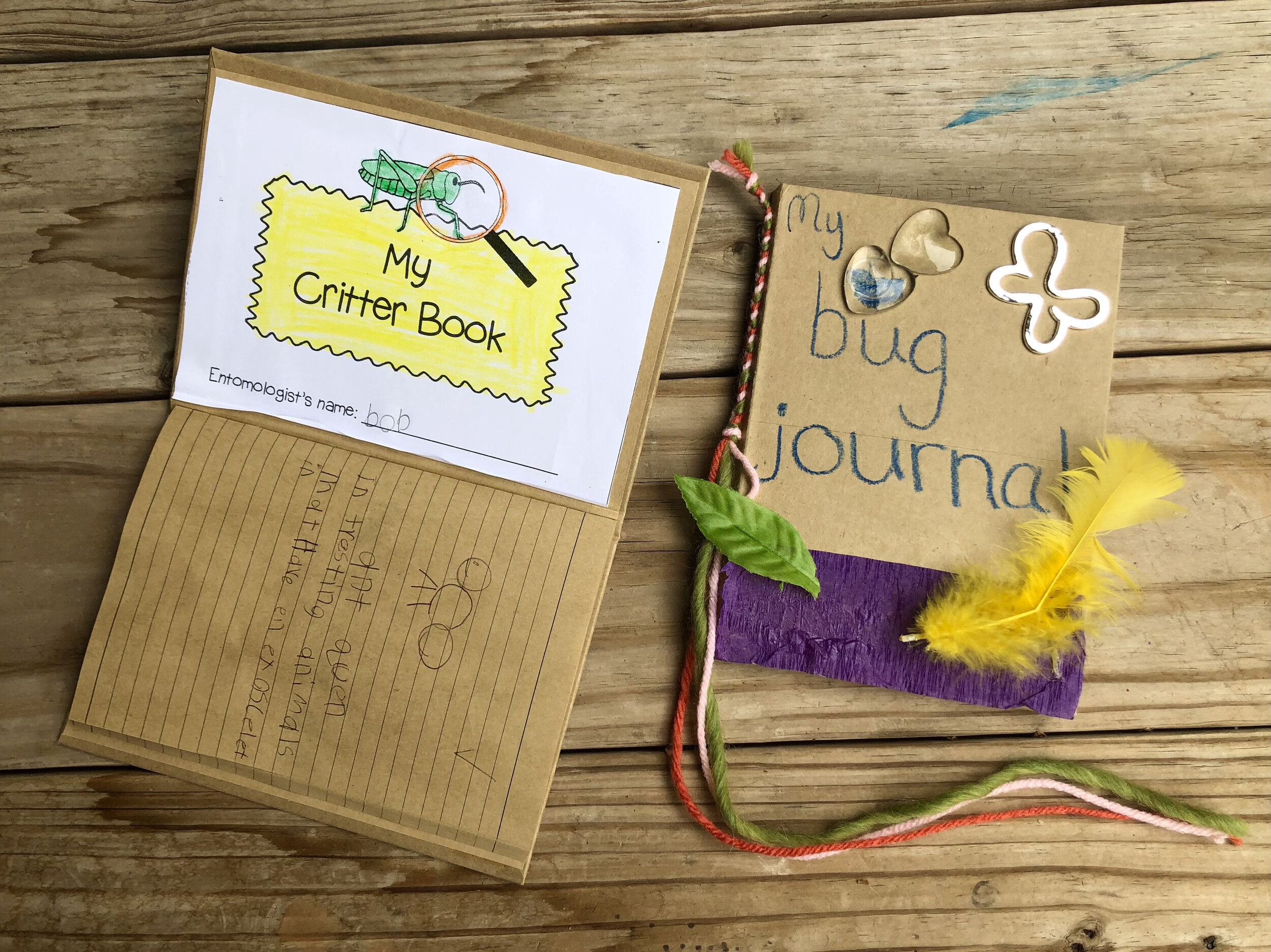   We created bug journals to document the characteristics of the insects we observed during the course of the week.  