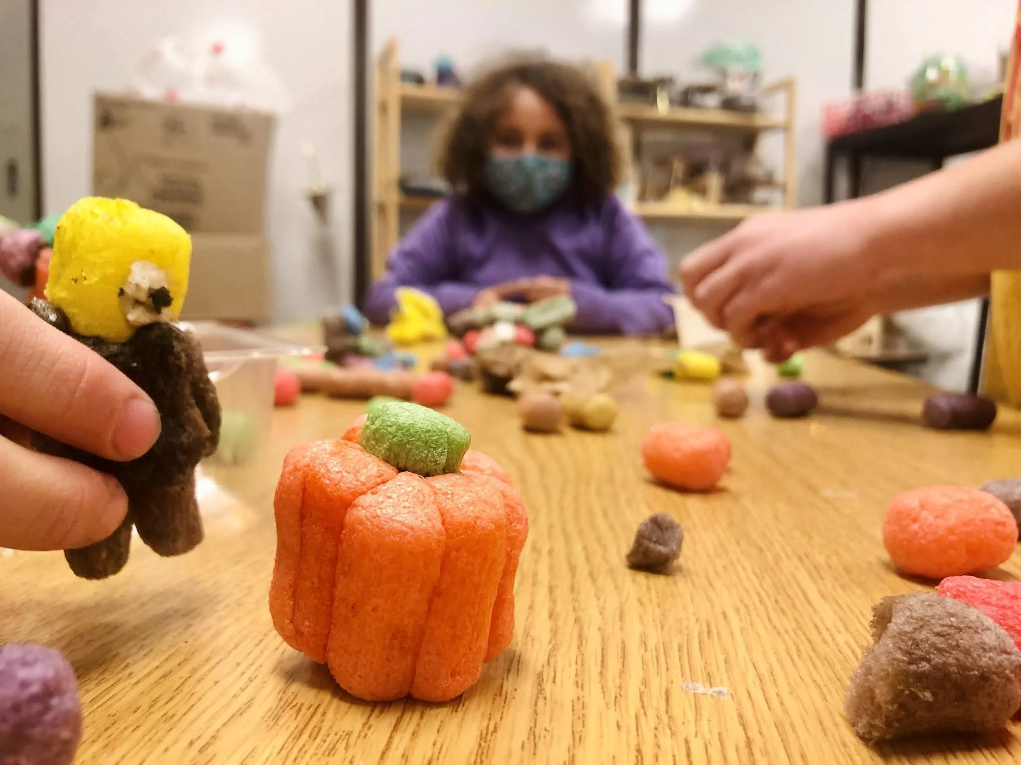 Day Camp - Election Day