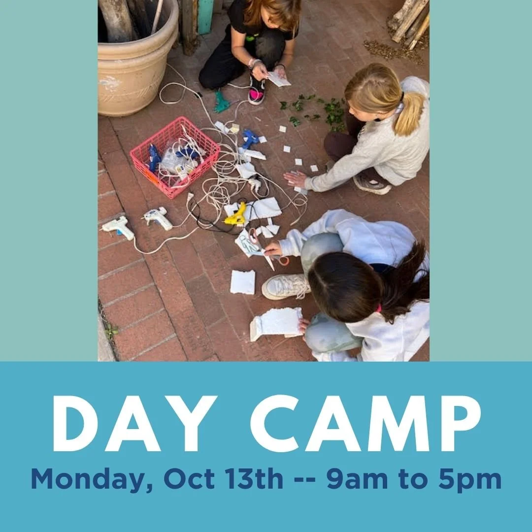 Day Camp