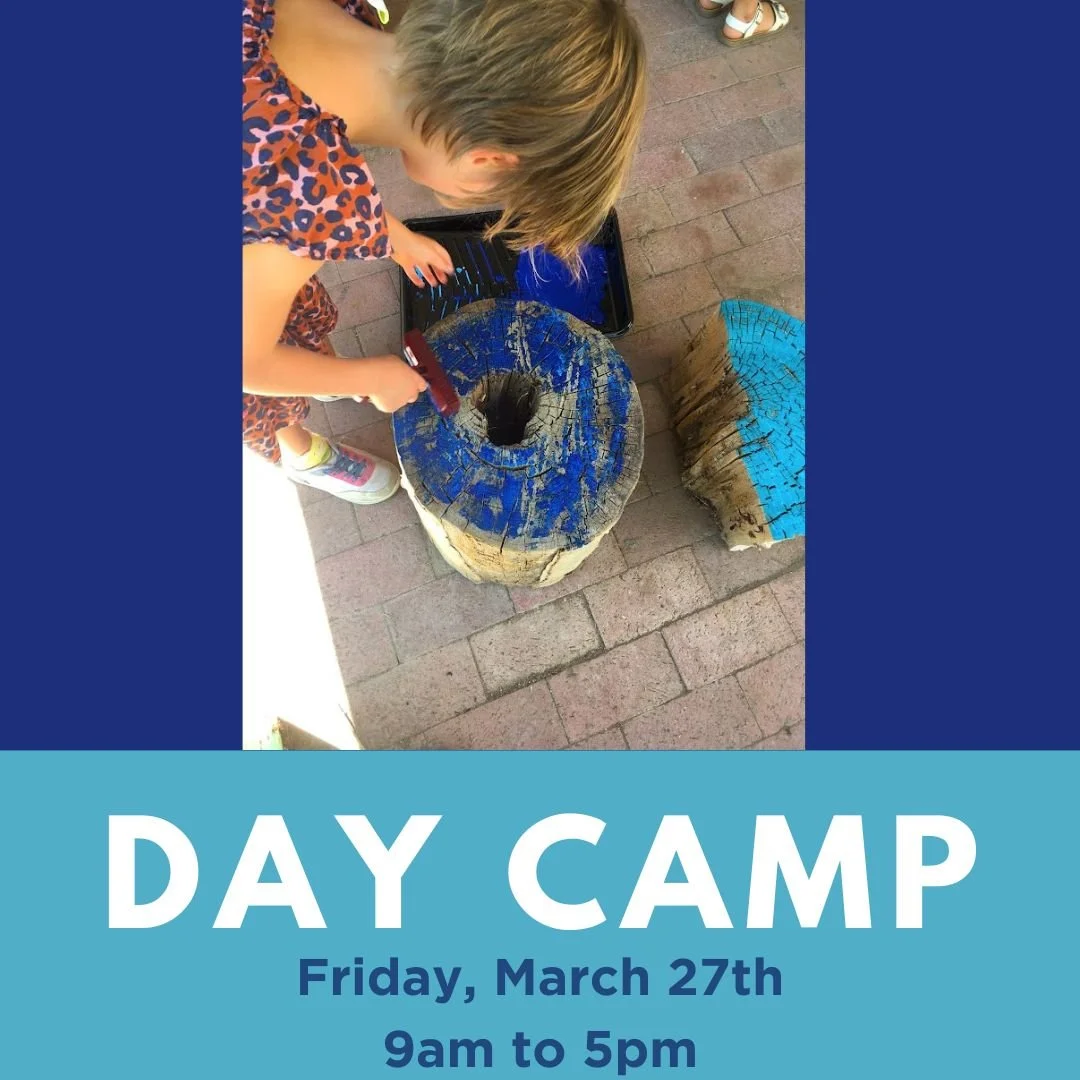 Day Camp