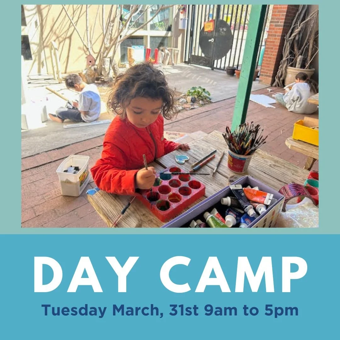 Day Camp