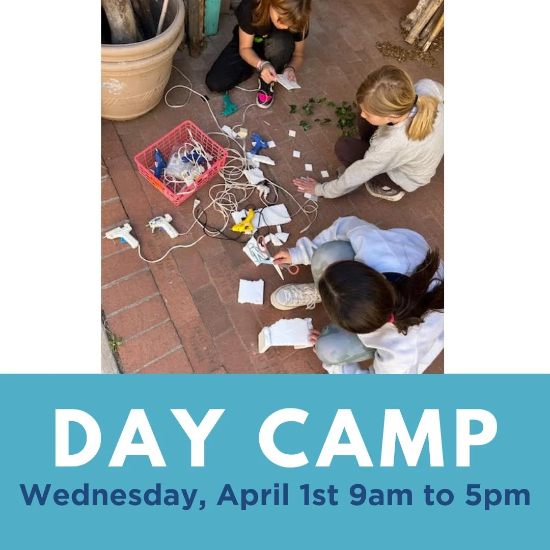 Day Camp