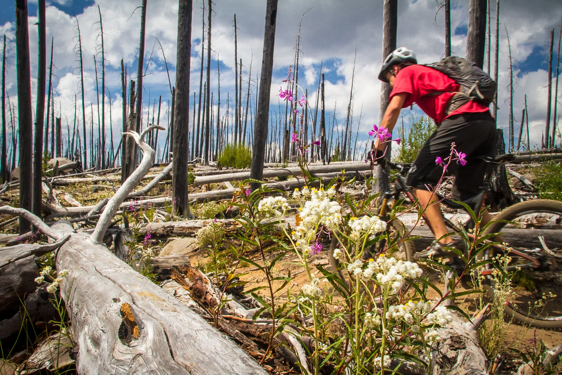efp_130816_oakridge-oregon-mtb_0522.jpg