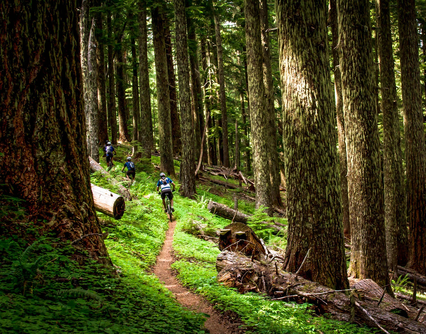 efp_130815_oakridge-oregon-mtb_0423-Edit.jpg