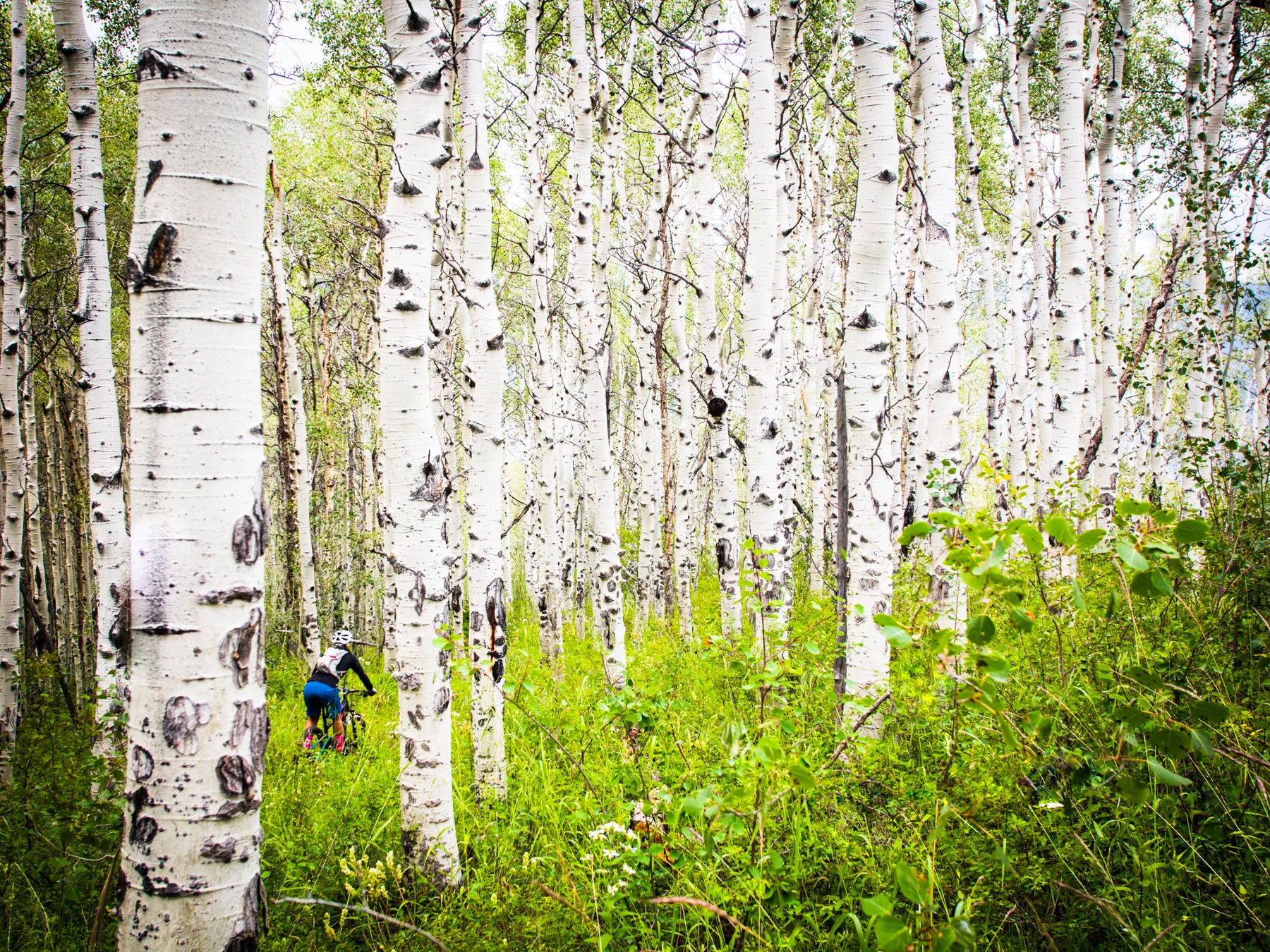 efp_170729_colorado_0020-Edit-p.jpg