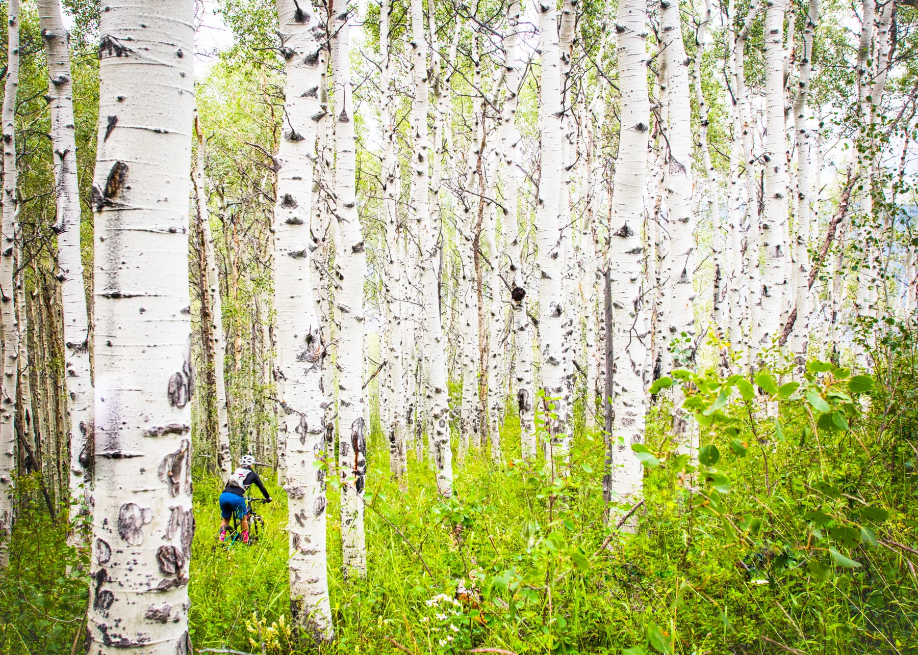 efp_170729_colorado_0020-Edit-p.jpg