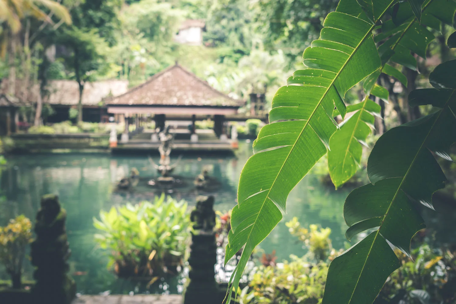 bali-image-1.jpg