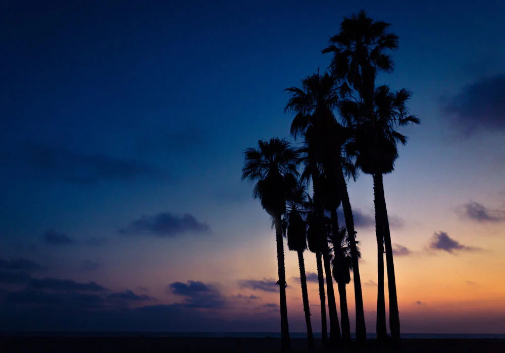 los-angeles-for-calendar.jpg