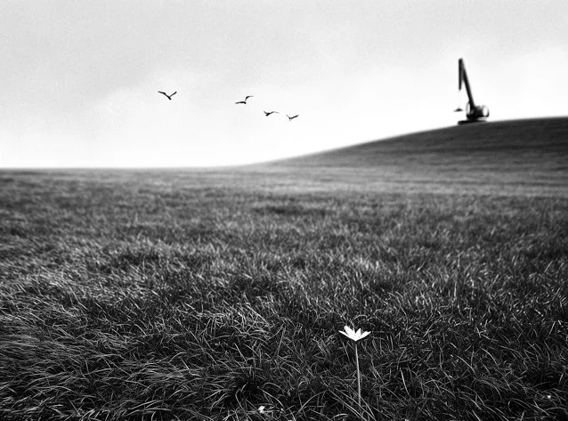 Sondelfal-3.jpg
