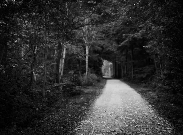 Sondelfal-7.jpg