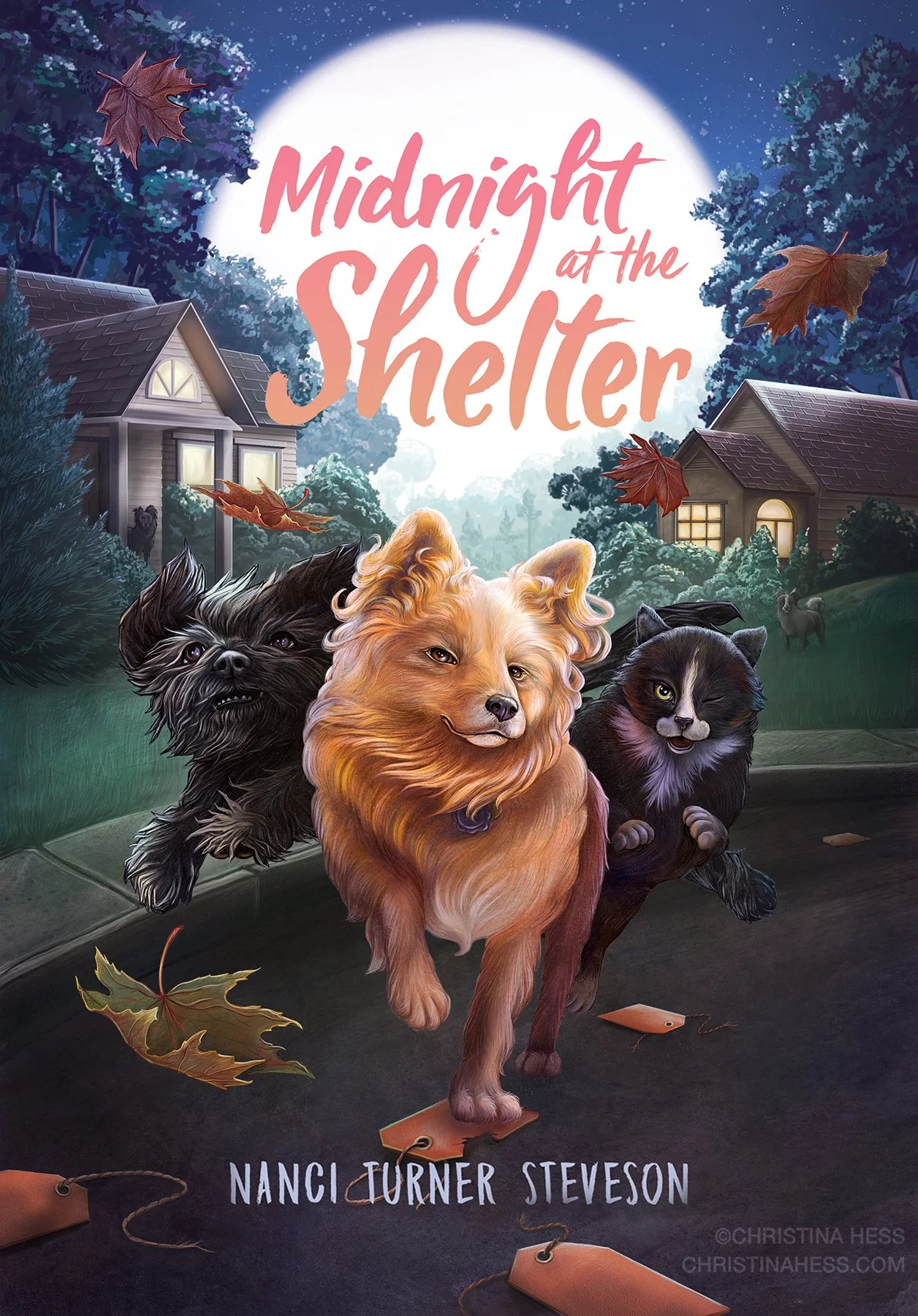 Midnight at the Shelter