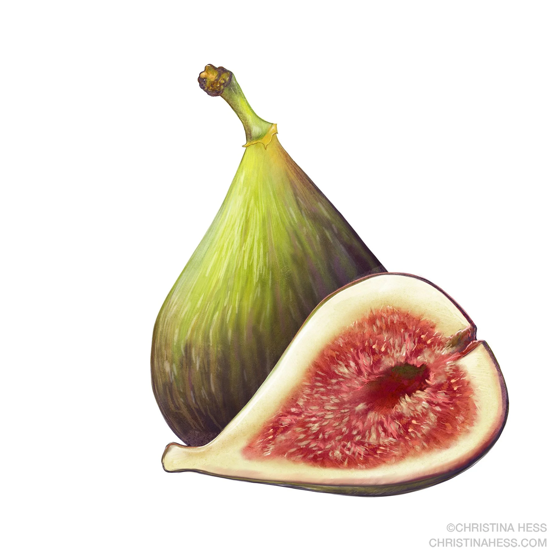 Fresh Figs