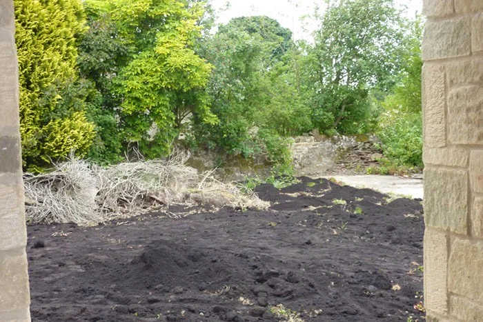 6 Reasons to Add Compost to Your Yard Before Winter