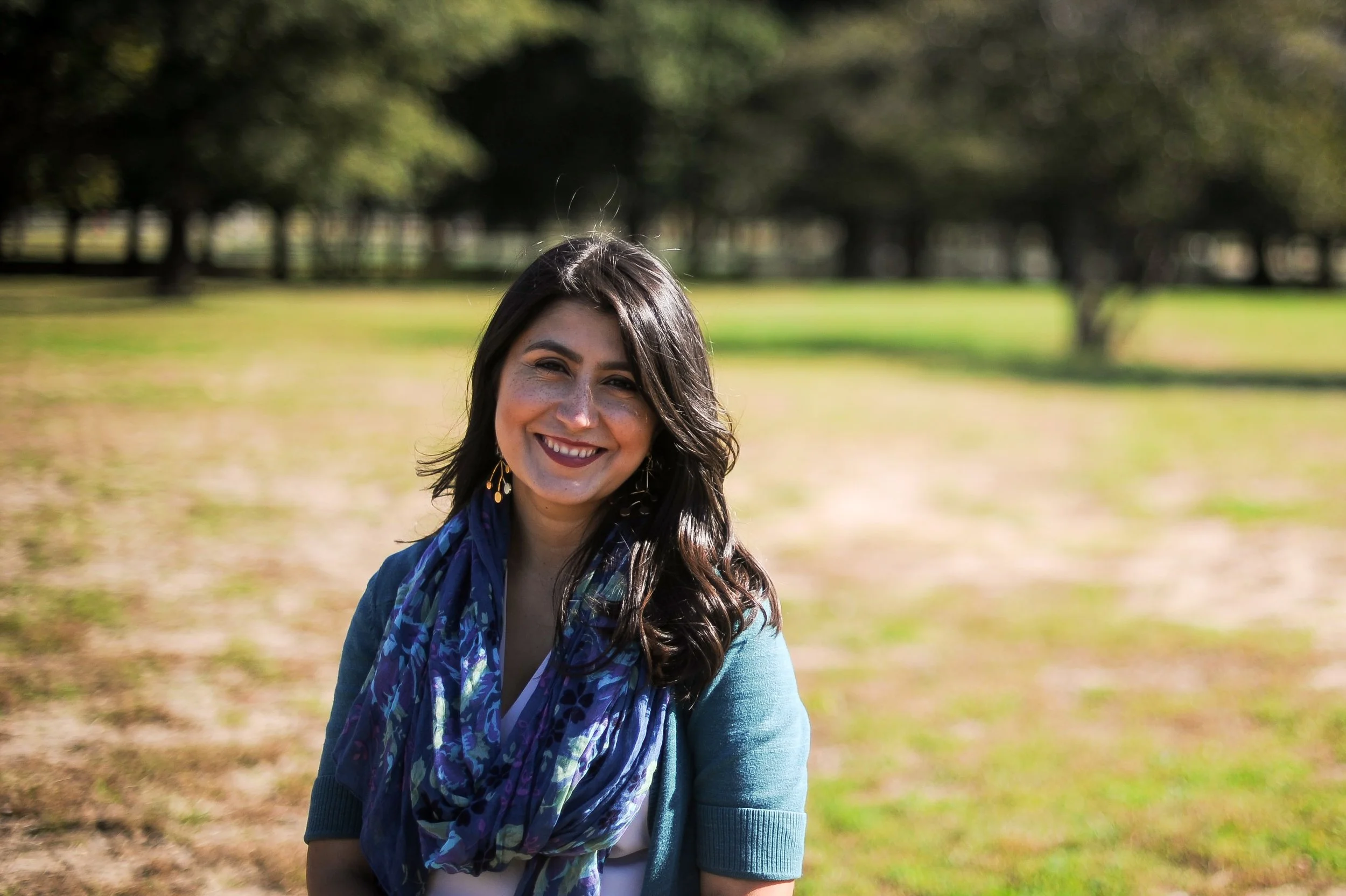  Ramos, Liu, Addabbo and Comrie Set to Chair Senate Committees