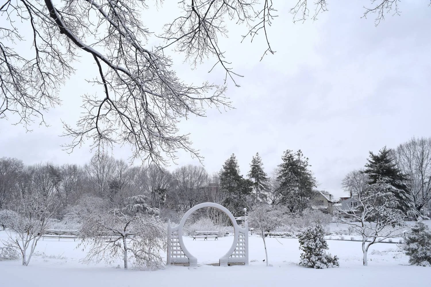 Wintertime at the Queens Botanical Garden. Photo via NYC Go.